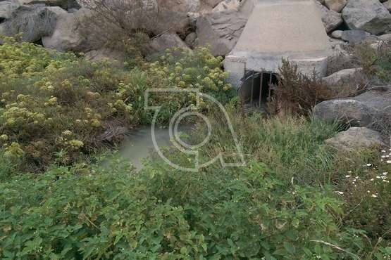 Un vertido de aguas negras contamina el tramo bajo del Barranco Real de Telde/TA.