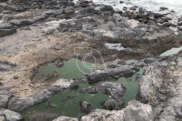 Vertido de aguas residuales en los riscos de Taliarte a través  de un colector de aguas pluviales/TA.