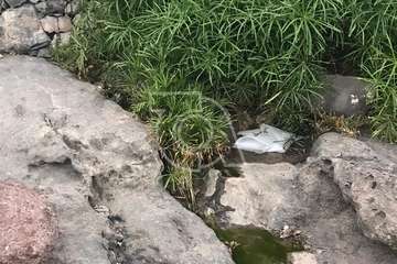 Vertido de aguas residuales en los riscos de Taliarte a través  de un colector de aguas pluviales/TA.