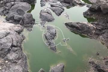 Vertido de aguas residuales en los riscos de Taliarte a través  de un colector de aguas pluviales/TA.