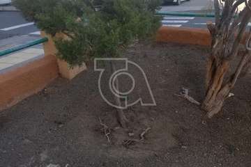 El estado del parterre municipal antes y después de la limpieza vecinal/TA.