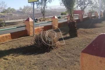 El estado del parterre municipal antes y después de la limpieza vecinal/TA.