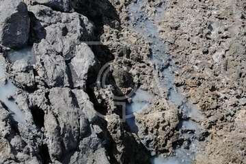 El vertido contaminante de Taliarte se eterniza: ahora blanco y espumoso/TA.