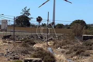  Un vertido de aguas fecales contamina el barranquillo de Ojos de Garza/TA.