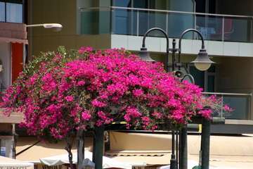  La costa de Telde regala naturaleza en este estío pandémico/Jesús Ruiz Mesa.