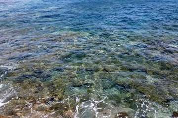  La costa de Telde regala naturaleza en este estío pandémico/Jesús Ruiz Mesa.
