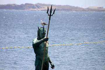  La costa de Telde regala naturaleza en este estío pandémico/Jesús Ruiz Mesa.