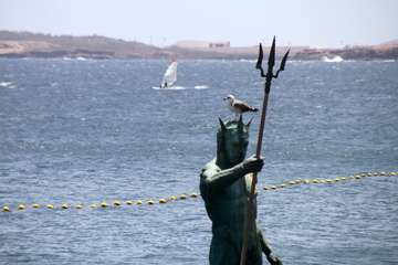  La costa de Telde regala naturaleza en este estío pandémico/Jesús Ruiz Mesa.