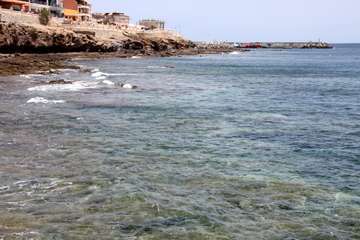  La costa de Telde regala naturaleza en este estío pandémico/Jesús Ruiz Mesa.