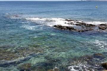  La costa de Telde regala naturaleza en este estío pandémico/Jesús Ruiz Mesa.