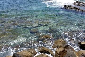  La costa de Telde regala naturaleza en este estío pandémico/Jesús Ruiz Mesa.