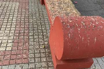 Las tórtolas le ganan la partida a Parques y Jardines en Salinetas y los vecinos exigen soluciones definitivas/TA.