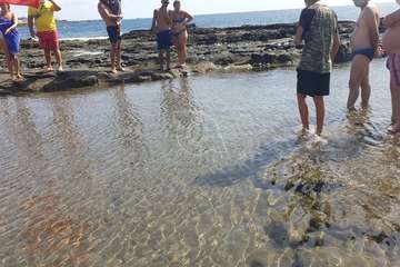La charca de Salinetas, paraíso de las mantarrayas/TA.
