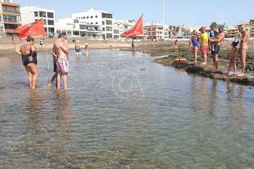 La charca de Salinetas, paraíso de las mantarrayas/TA.