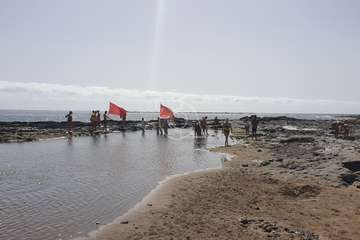 La charca de Salinetas, paraíso de las mantarrayas/TA.