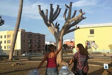Regada comunitaria para salvar el dragonal de Salinetas/TA.