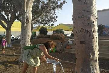 Regada comunitaria para salvar el dragonal de Salinetas/TA.