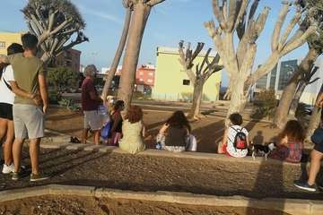 Regada comunitaria para salvar el dragonal de Salinetas/TA.