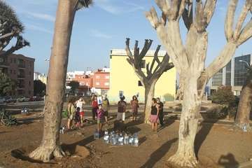 Regada comunitaria para salvar el dragonal de Salinetas/TA.