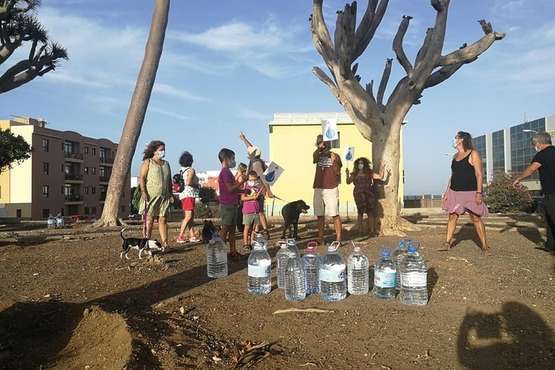 Regada comunitaria para salvar el dragonal de Salinetas/TA.