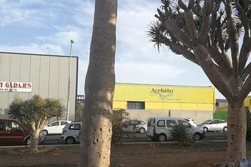 Regada comunitaria para salvar el dragonal de Salinetas/TA.