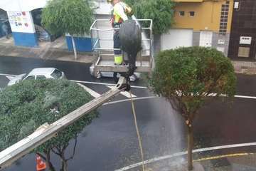 Antes y después de la poda en el sector de La Barranquera/TA.