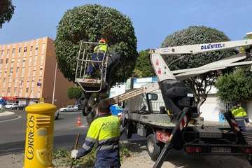 Antes y después de la poda en el sector de La Barranquera/TA.