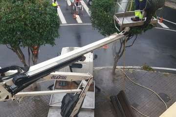 Antes y después de la poda en el sector de La Barranquera/TA.