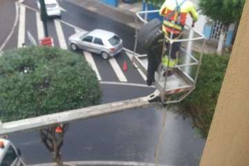 Antes y después de la poda en el sector de La Barranquera/TA.