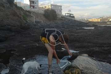 Una tortuga 'encalla' en los riscos de Clavellinas/TA.
