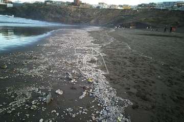 La orilla de Playa del Hombre, cubierta por un manto de roedores muertos y residuos malolientes/TA.