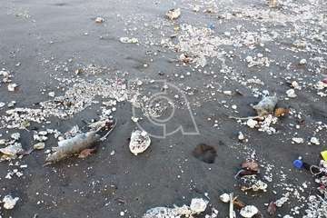 Operarios municipales retiran de Playa del Hombre el vertido residual que llegó a su orilla/TA.