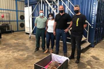  Una tortuga, que se recupera en Taliarte, es asistida en una cámara hiperbárica en un tratamiento sin precedentes en Canarias/TA.