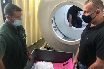  Una tortuga, que se recupera en Taliarte, es asistida en una cámara hiperbárica en un tratamiento sin precedentes en Canarias/TA.