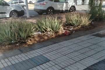 Cortijo de Belén clama por la limpieza de sus jardines públicos/TA.