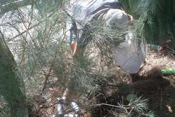 Cortijo de Belén clama por la limpieza de sus jardines públicos/TA.