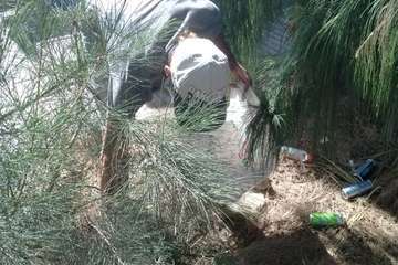 Cortijo de Belén clama por la limpieza de sus jardines públicos/TA.