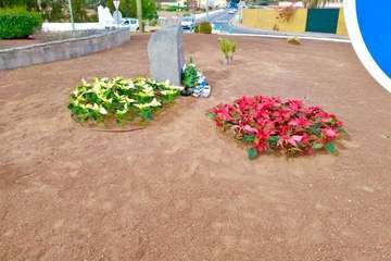 Plantación de flores de Pascua en jardines, rotondas y parterres públicos de Telde/TA.