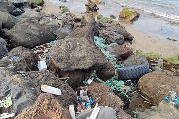 El extremo sur de la costa de Ojos de Garza, una pocilga/TA.