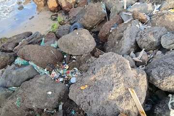 El extremo sur de la costa de Ojos de Garza, una pocilga/TA.