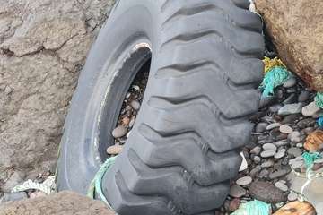 El extremo sur de la costa de Ojos de Garza, una pocilga/TA.