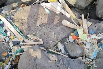 El extremo sur de la costa de Ojos de Garza, una pocilga/TA.