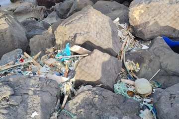 El extremo sur de la costa de Ojos de Garza, una pocilga/TA.