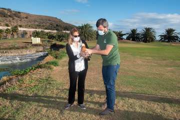 Un hermoso tarro canelo recupera el vuelo en Telde/TA.