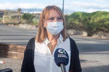 Un hermoso tarro canelo recupera el vuelo en Telde/TA.