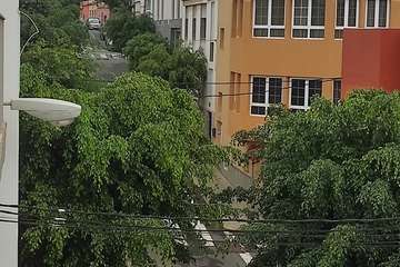 Estado de los árboles en calles de La Montañeta de El Calero Bajo-Telde/TA.