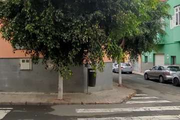 Estado de los árboles en calles de La Montañeta de El Calero Bajo-Telde/TA.