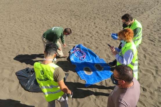 Una raya mantelina aparece muerta en la orilla de la playa de Salinetas/TA.