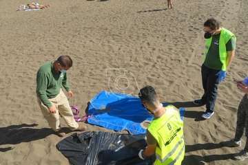 Una raya mantelina aparece muerta en la orilla de la playa de Salinetas/TA.