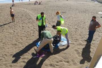 Una raya mantelina aparece muerta en la orilla de la playa de Salinetas/TA.
